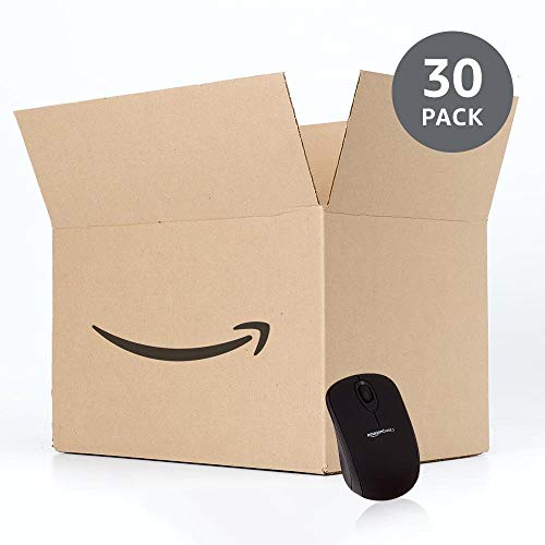 Wireless Optical Computer Mouse with USB Nano Receiver, Black P88471