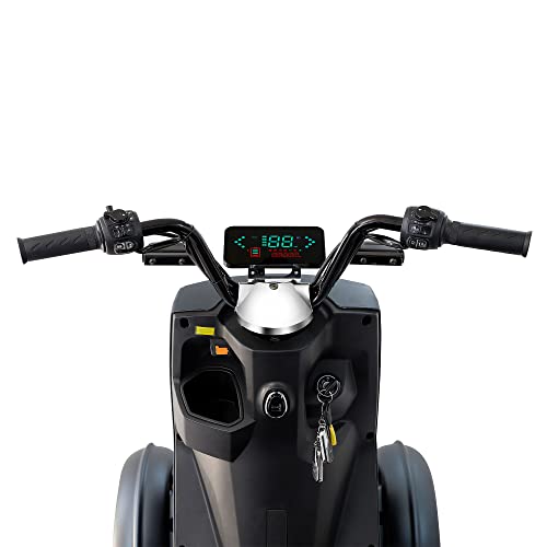 4-Wheel Heavy Duty Mobility Scooter for Seniors & Adults D6968