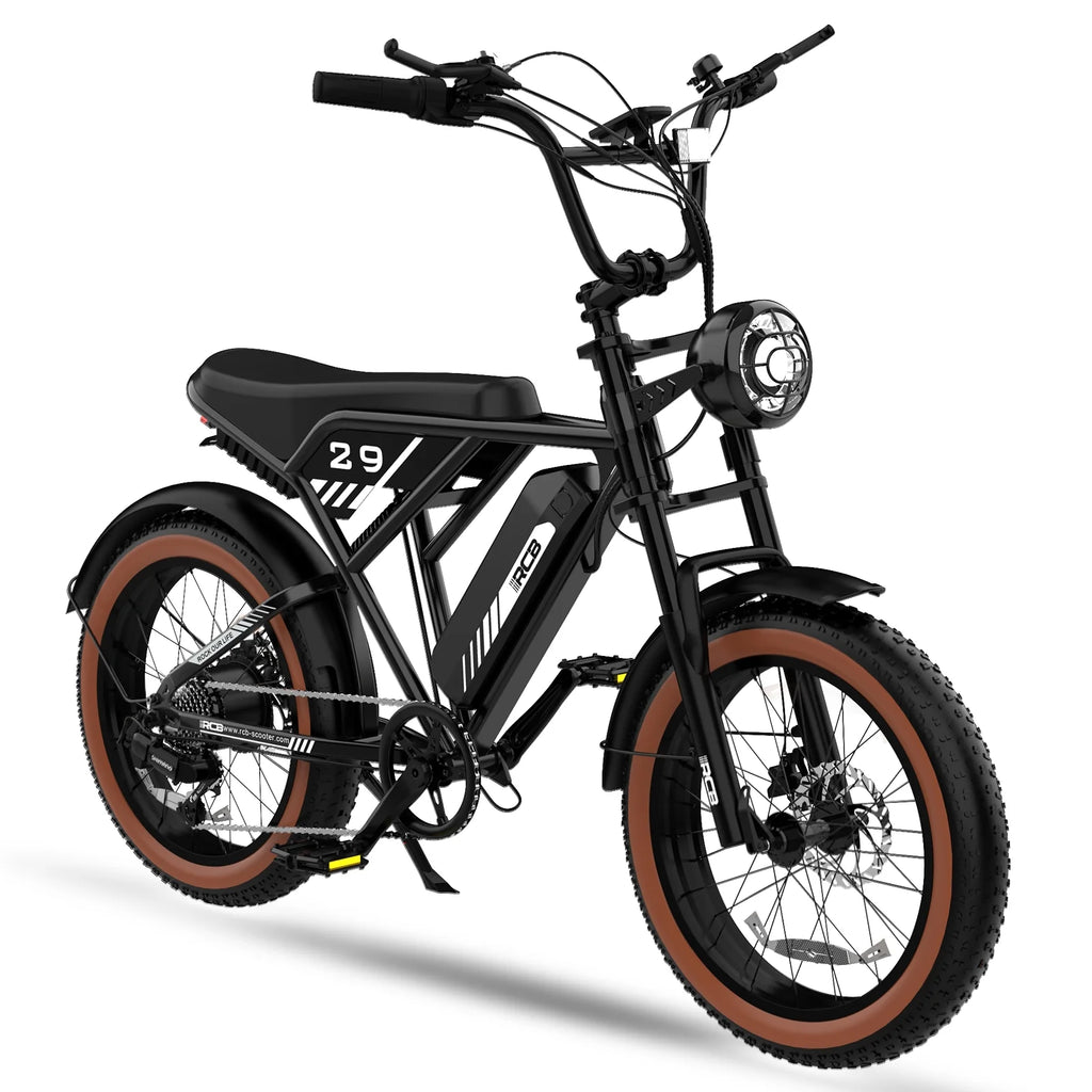 750W Electric Bike for Adults, 48V 15Ah Removable Battery, 20" Fat Tire Mountain Bicycle Q958