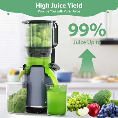 Cold Press Juicer with Extra Large Feed Chute for Whole Fruits and Vegetables E678135