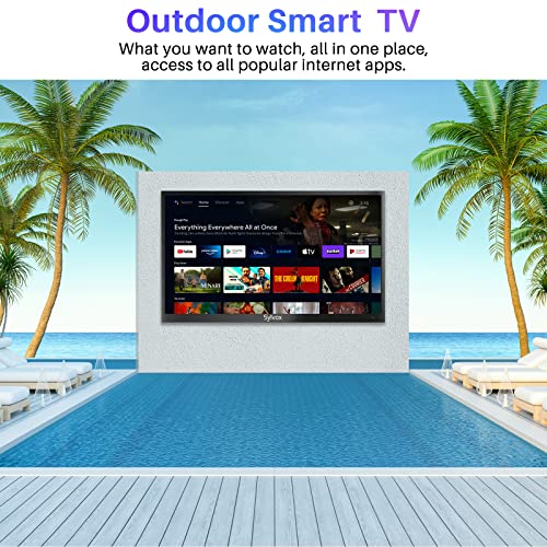 55 inch Outdoor Smart TV, 4K Weatherproof Television for Outside I326