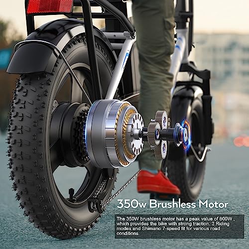 Electric Bike 16" Fat Tire 350W Step Thru 48V Removable Battery U460