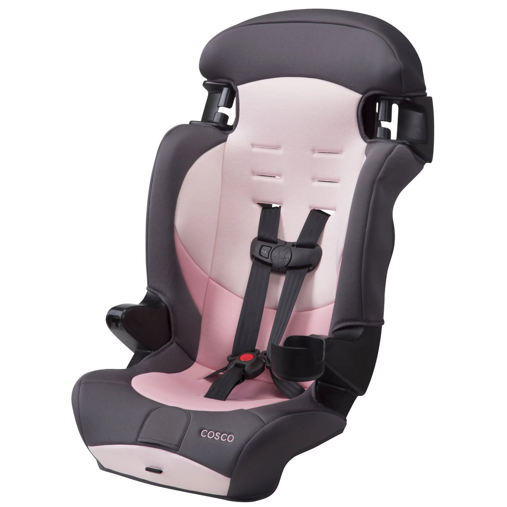 2-in-1 Booster Car Seat, Sweetberry T115866