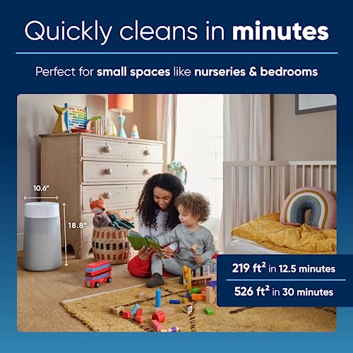 Air Purifier for Small Room, Bedroom, Home, Cleans 926 sqft in One Hour, HEPASilent for Pets, Allergens, Dust, Mold, Smoke Q80338