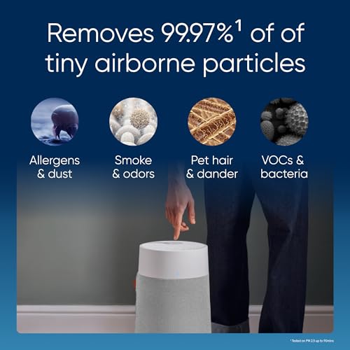 Air Purifier for Small Room, Bedroom, Home, Cleans 926 sqft in One Hour, HEPASilent for Pets, Allergens, Dust, Mold, Smoke Q80338