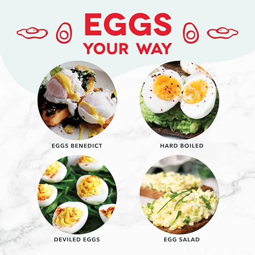 6 Egg Capacity Electric Egg Cooker with Auto Shut Off - Black U471