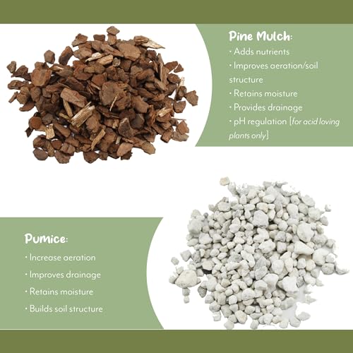 Cactus and Succulent Potting Mix, Fast Draining I9227