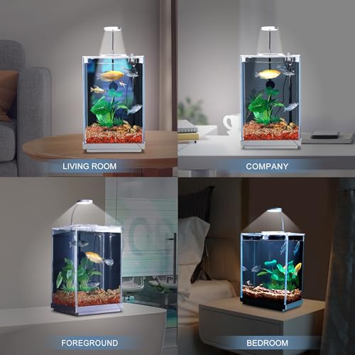 1.5 Gallon All-in-One Aquarium Starter Kit with Float Glass Tank, Filter, Light, Rocks, Gravel, Plants I1851