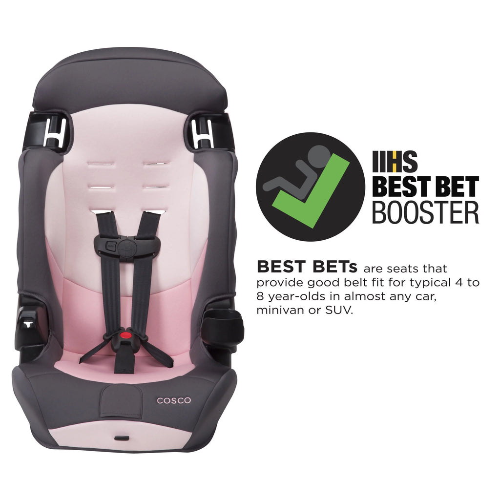 2-in-1 Booster Car Seat, Sweetberry T115866