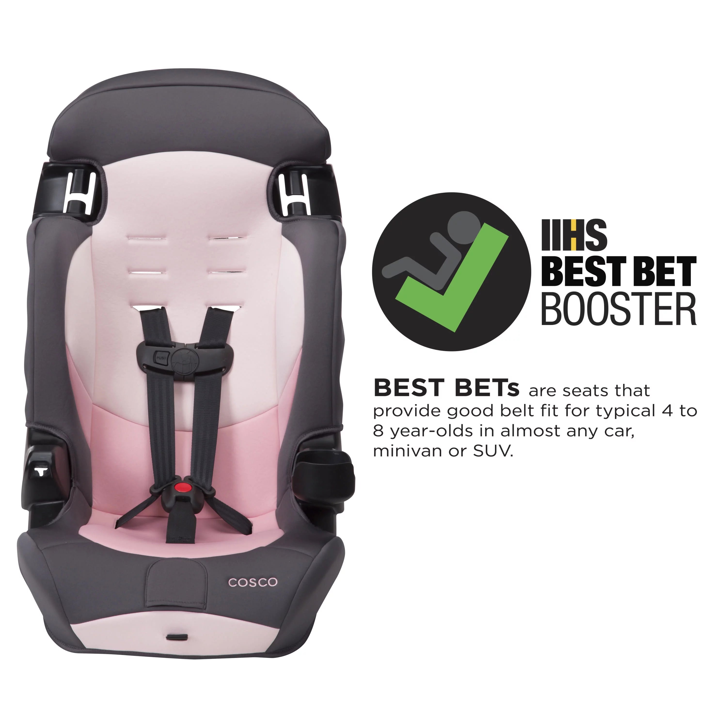 2-in-1 Booster Car Seat, Sweetberry T115866