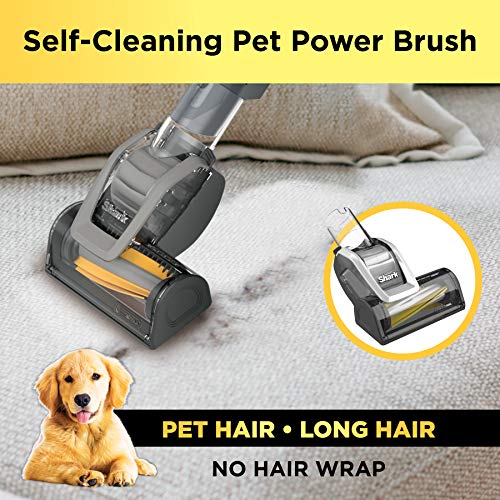 Corded Stick Vacuum with LED Headlights, XL Dust Cup, Lightweight, Converts to Hand Vacuum L83391