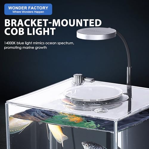 1.5 Gallon All-in-One Aquarium Starter Kit with Float Glass Tank, Filter, Light, Rocks, Gravel, Plants I1851