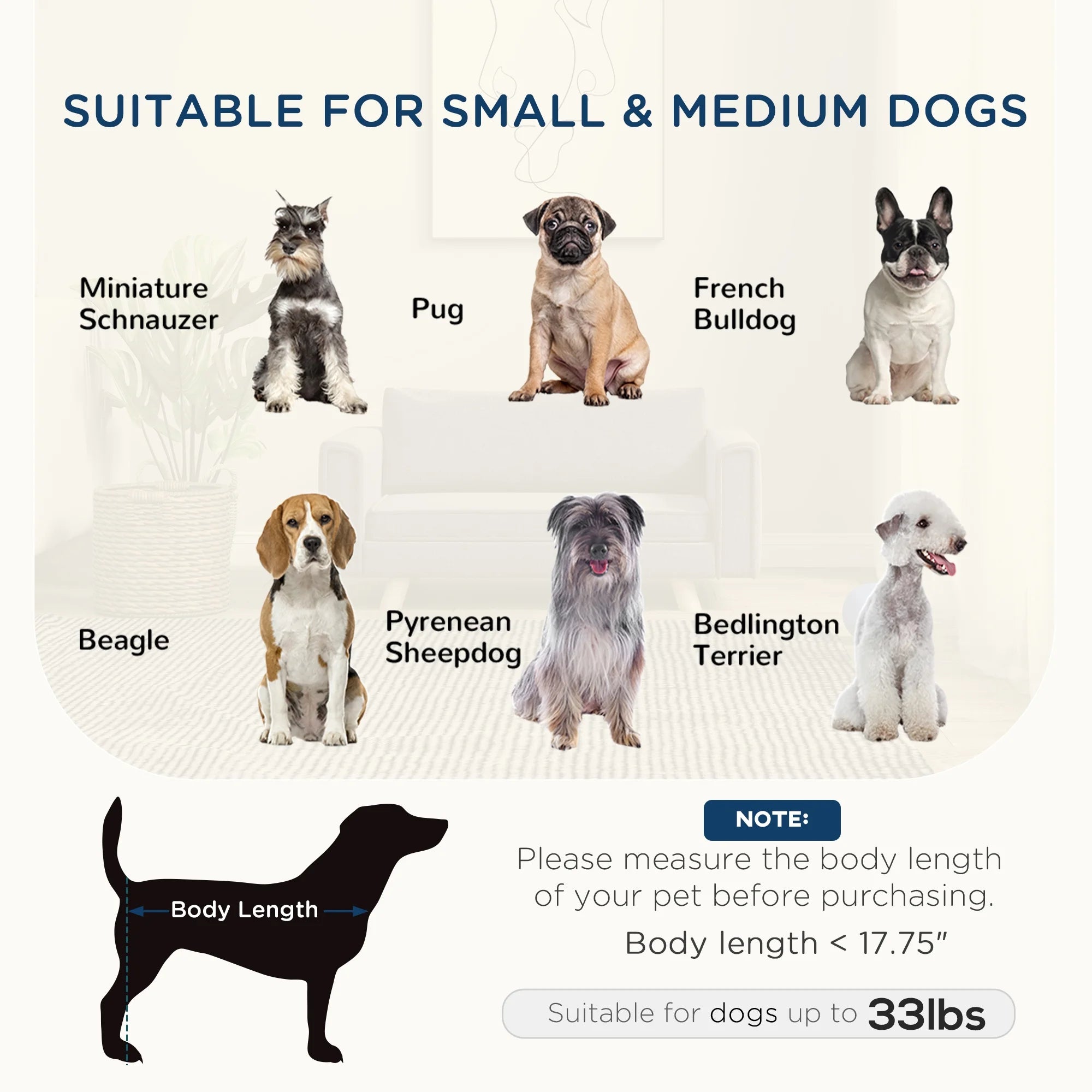 Raised Dog Sofa for Small and Medium Dogs, Gray M25944