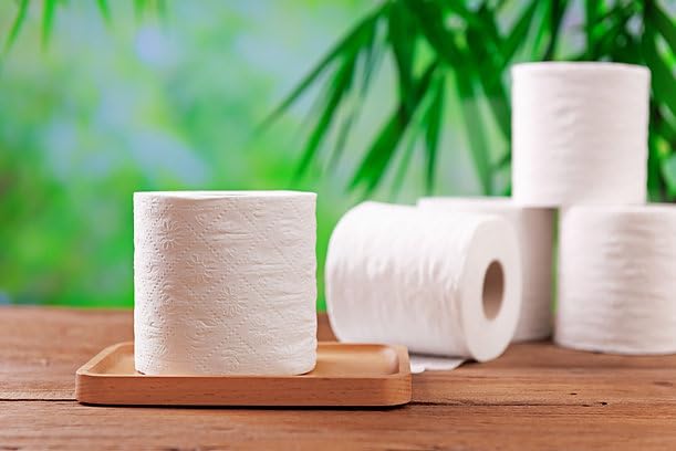 Bamboo Toilet Paper 2-Ply with Kitchen Towel, 24 Rolls X314488