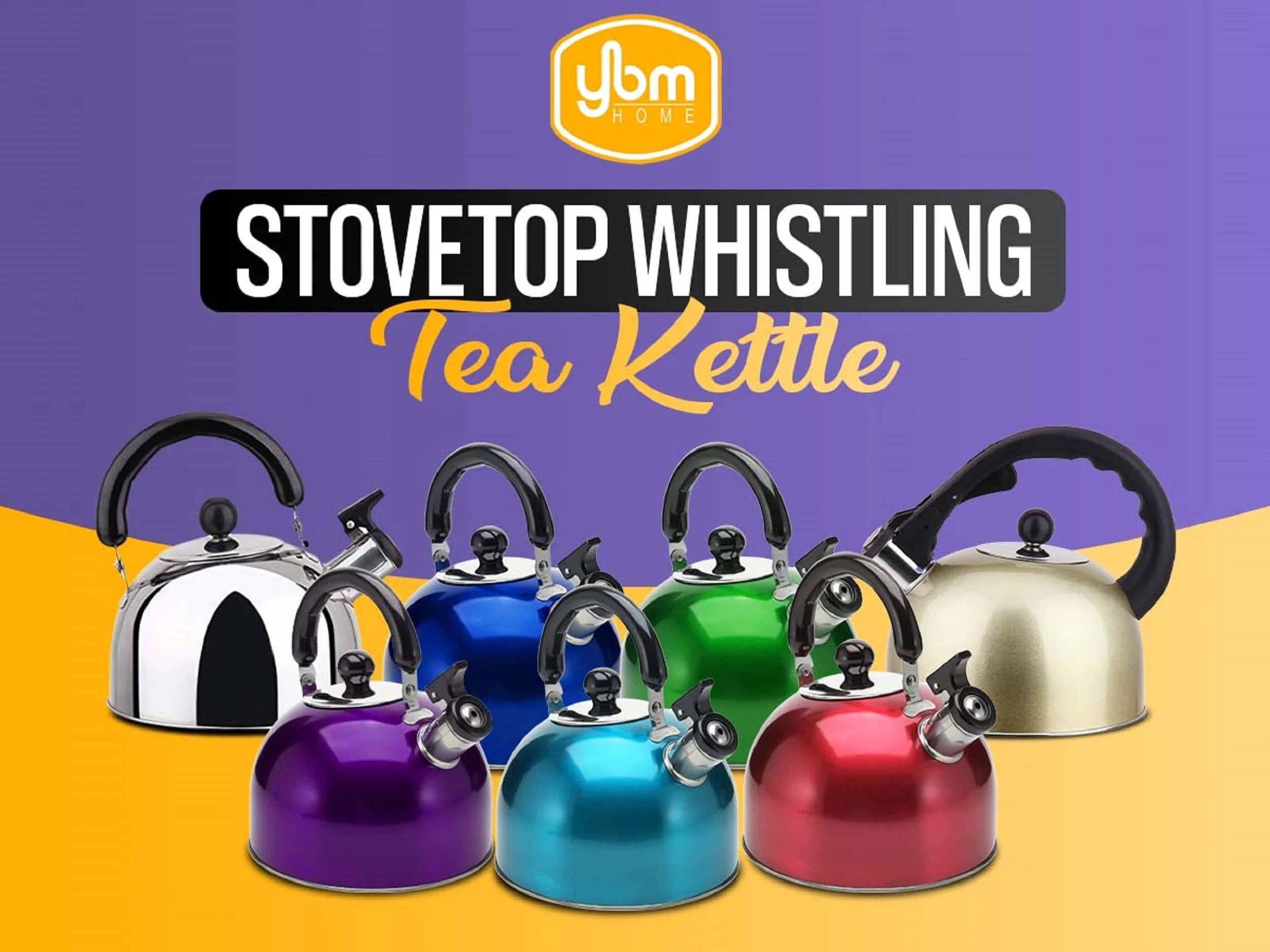 Stainless Steel Whistling Tea Kettle with Handle W6573