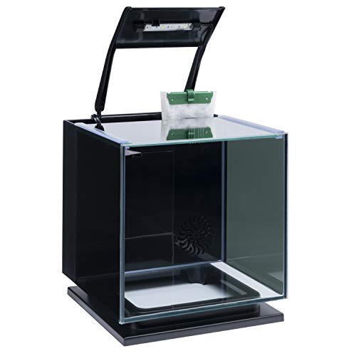 Betta Shadowbox Aquarium Kit L72938